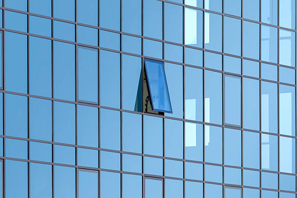 Fenêtres professionnelles